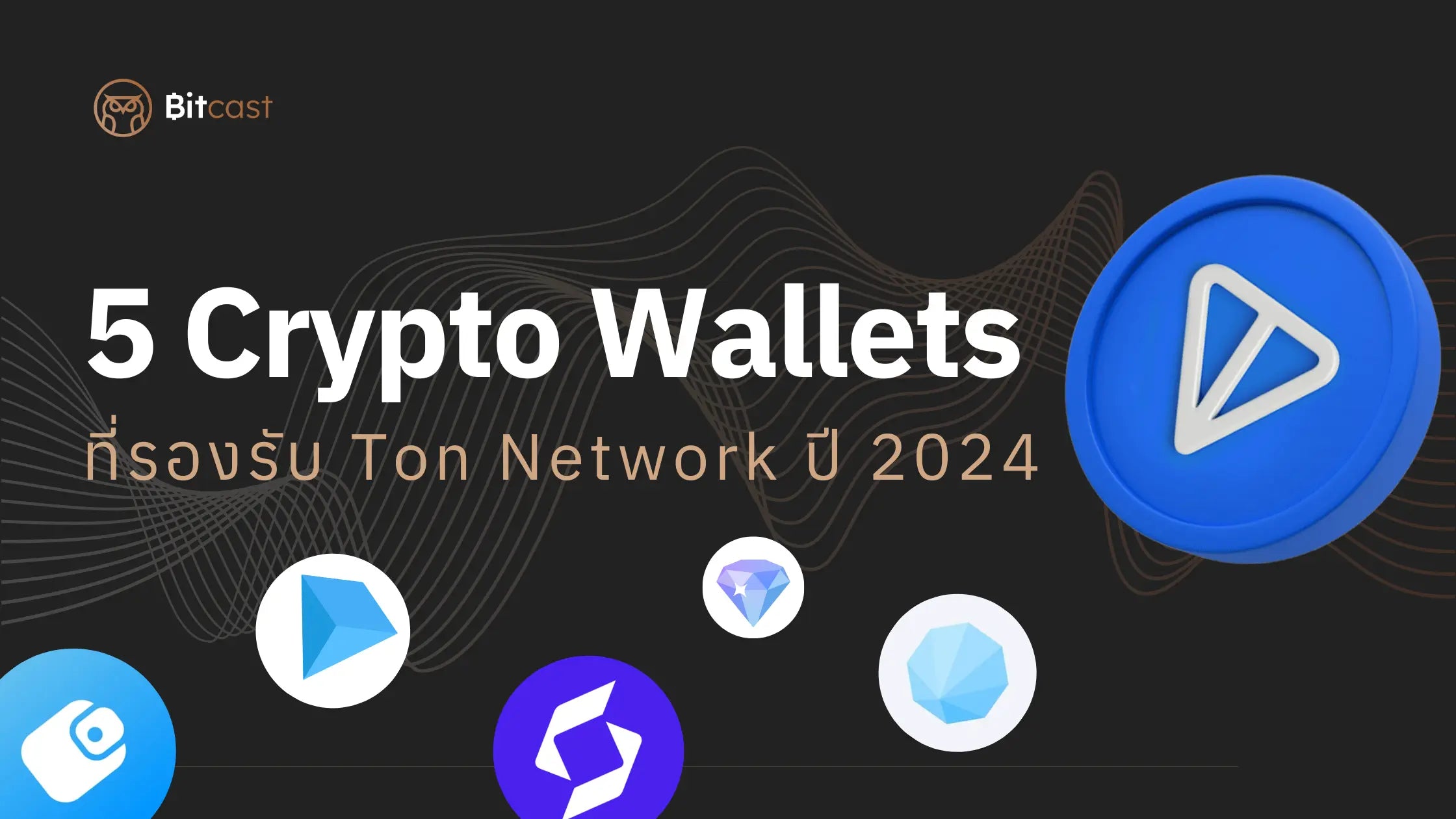 5 Crypto Wallet ที่รองรับ TON Network ปี 2024