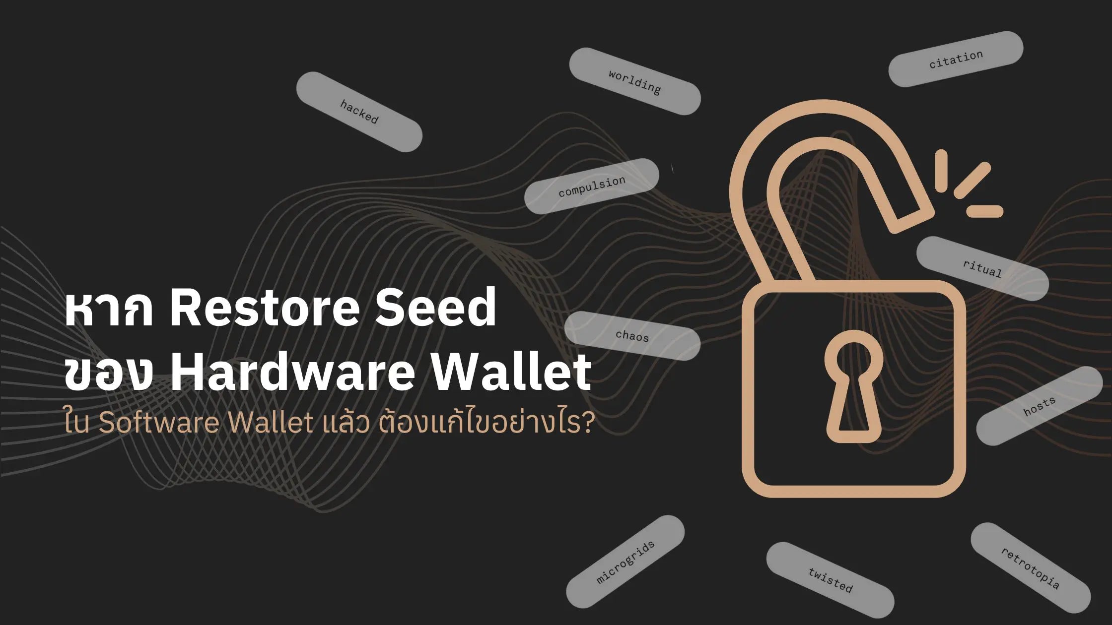 หากนำ Seed Phrase จาก Hardware Wallet ไป Restore บน Software Wallet ควรแก้ไขอย่างไร?