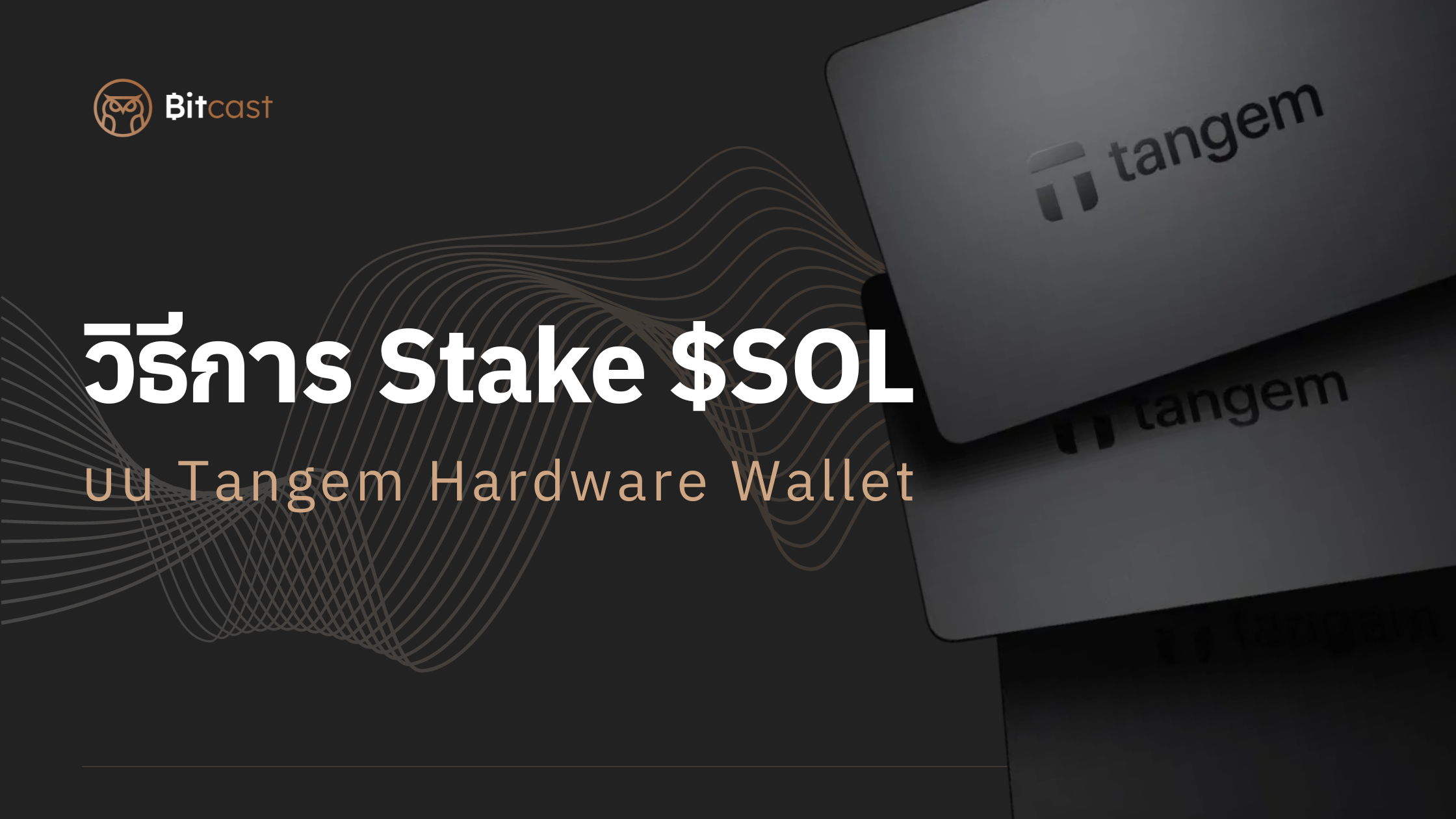 วิธีการ Stake Solana (SOL) บนแอป Tangem Wallet