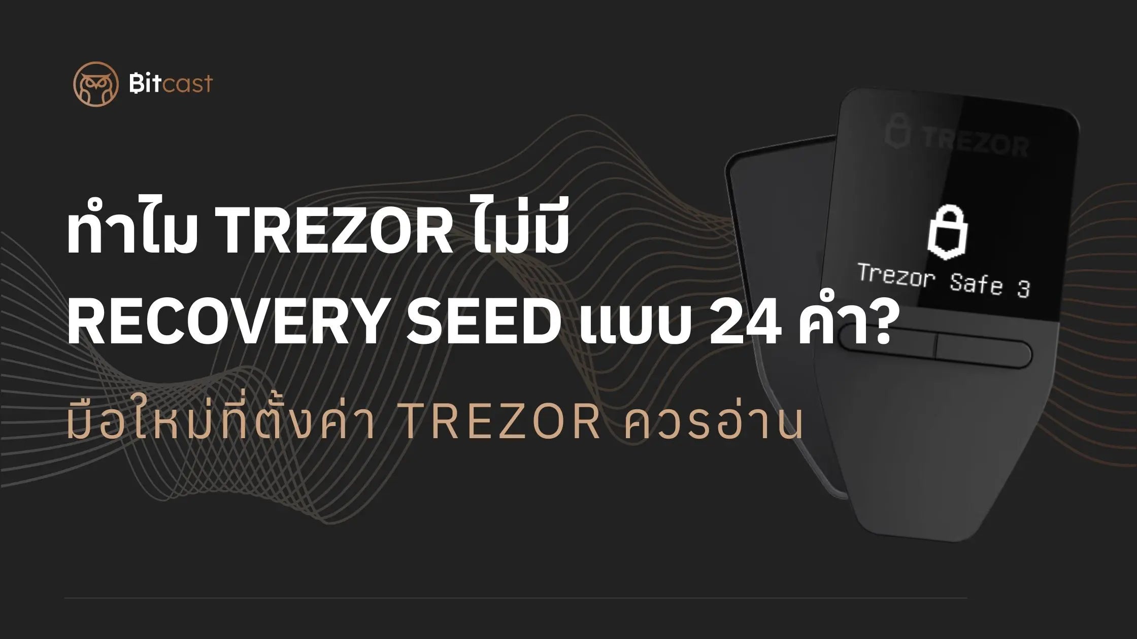 วิธีเลือก Seed Phrase ใน Trezor ฉบับมือใหม่