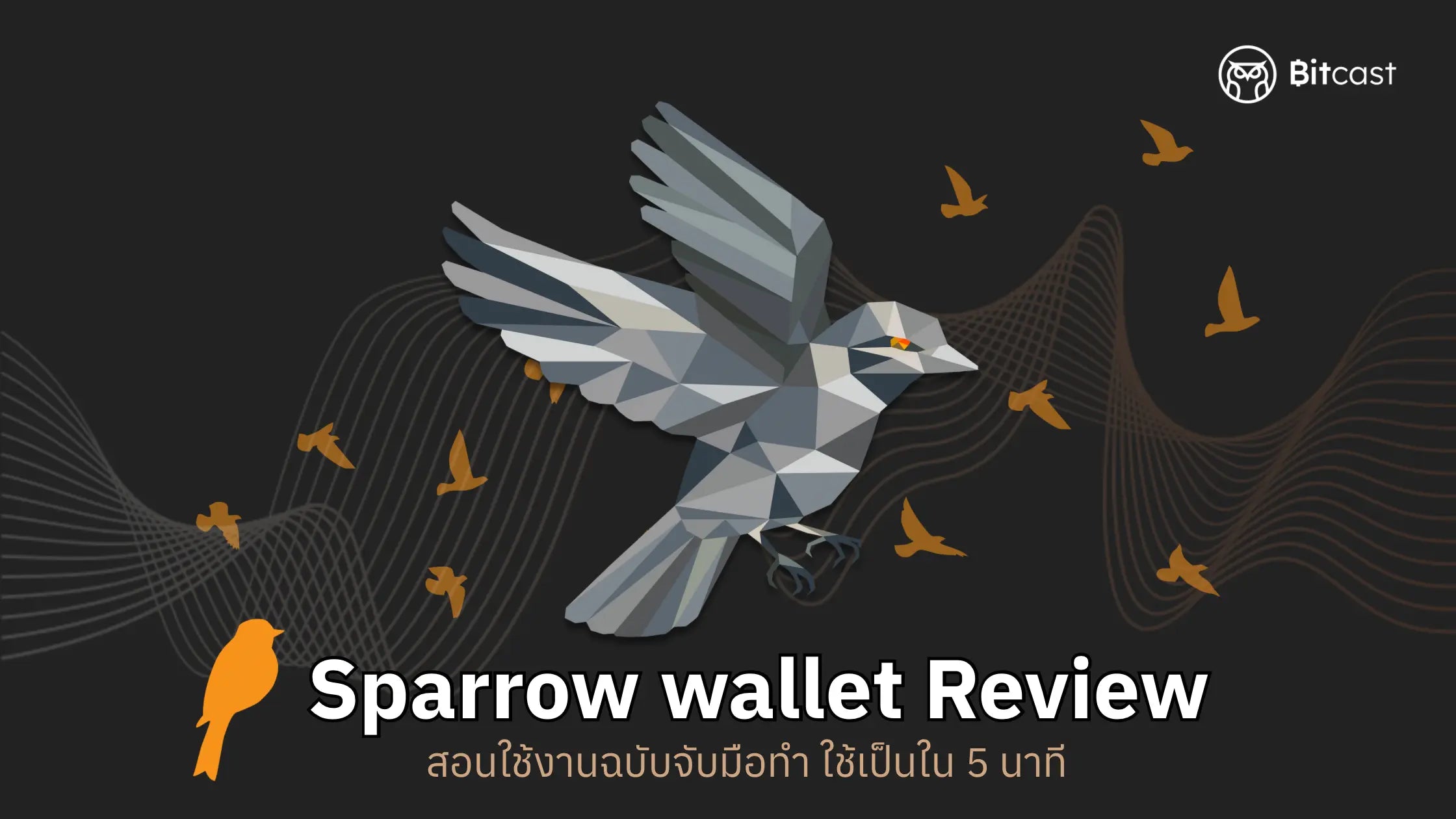 Sparrow wallet ฉบับจับมือทำ